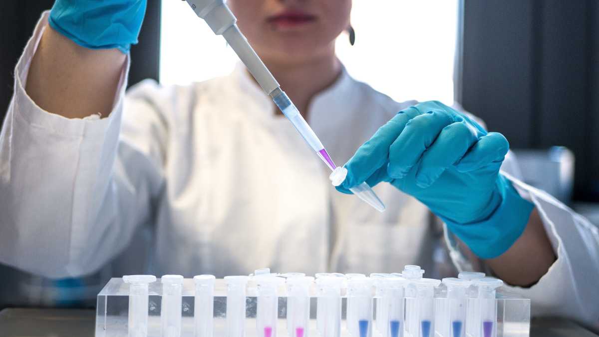 Immagine di Un lievito con oltre il 50% del genoma artificiale