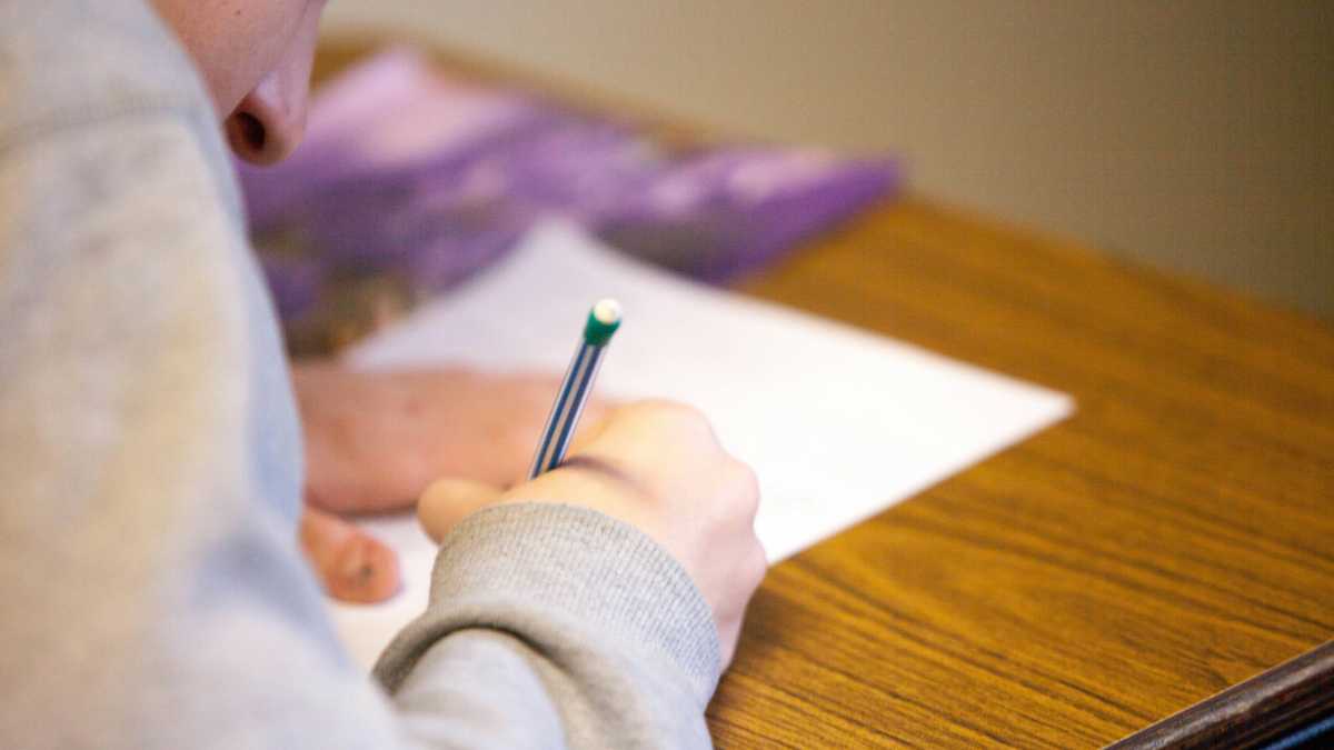 Immagine di Odiare i voti scolastici, sognare un furgone, credere alla scuola