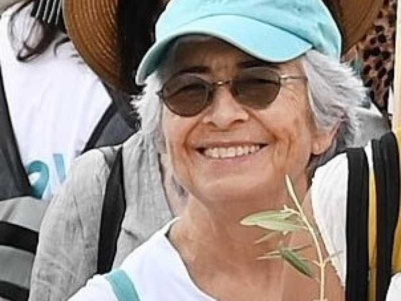 Vivian Silver - foto Ansa<br />