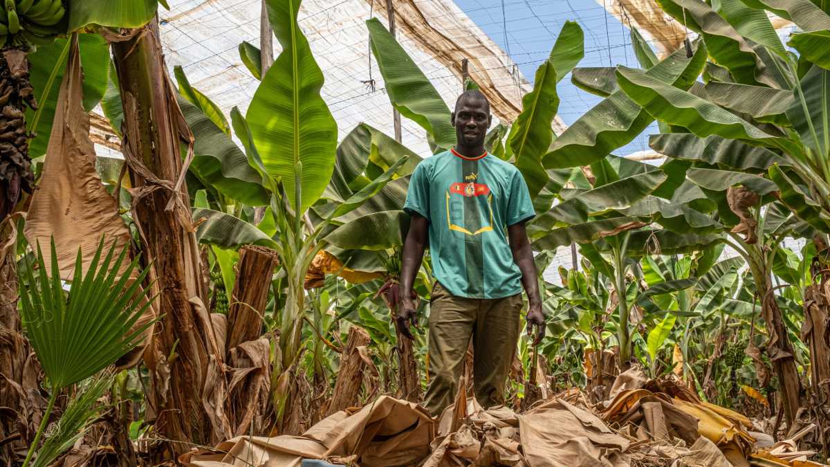 Immagine di Dall'economia interna alle relazioni internazionali. Ecco perché per il Marocco i flussi migratori sono una risorsa
