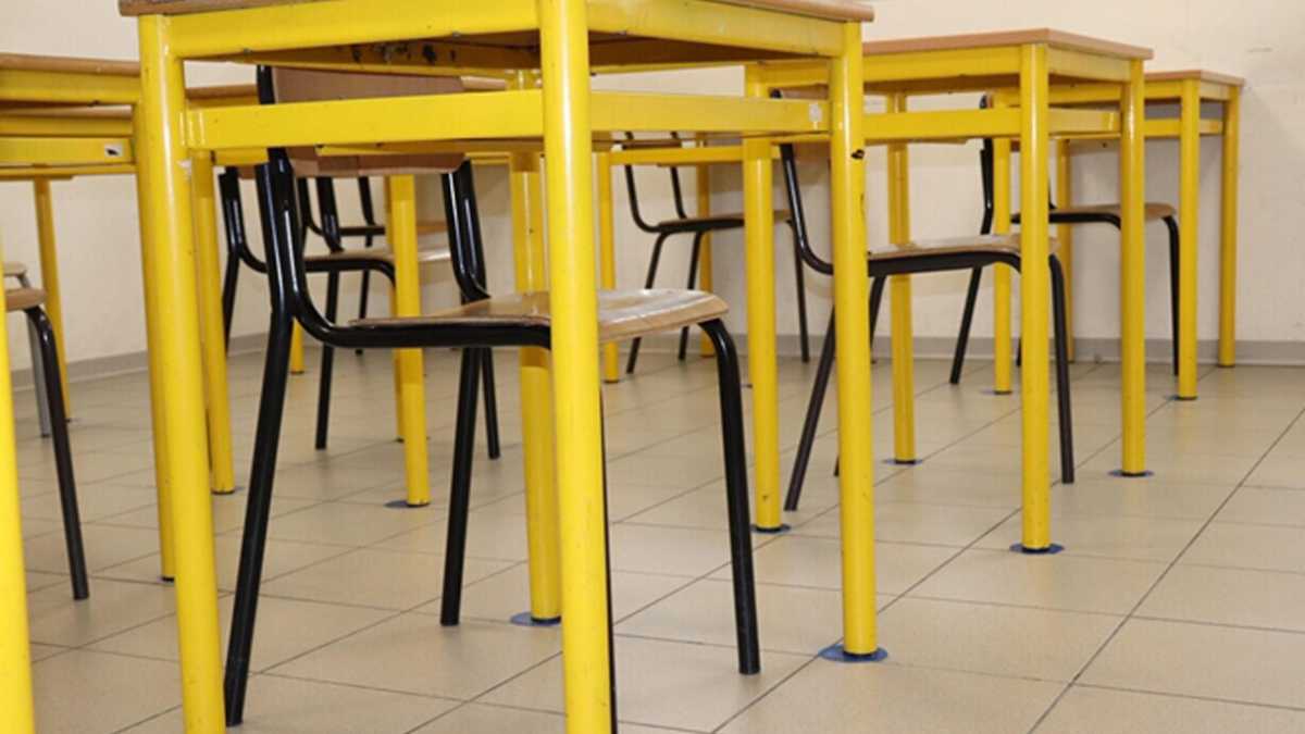 Immagine di Come può educare ai sentimenti una scuola che non è in grado preparare all'università?