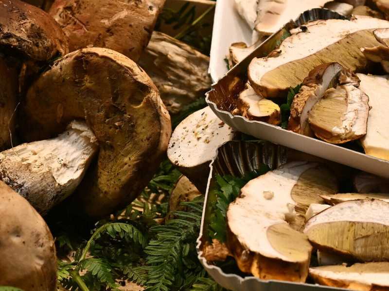 Causa di morte: i funghi milanesi