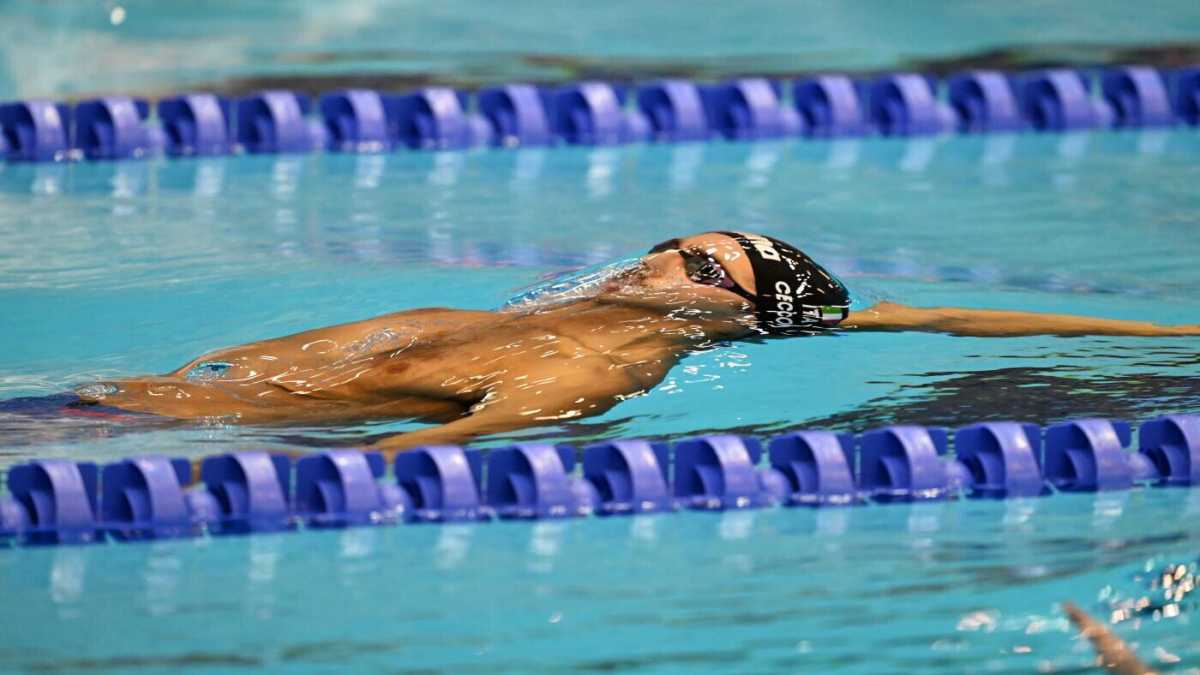 Immagine di Che confusione questo nuoto che passa dalla vasca lunga alla vasca corta