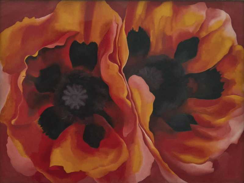 Georgia O'Keeffe, "Papaveri orientali", 1927 (Ansa)<br />