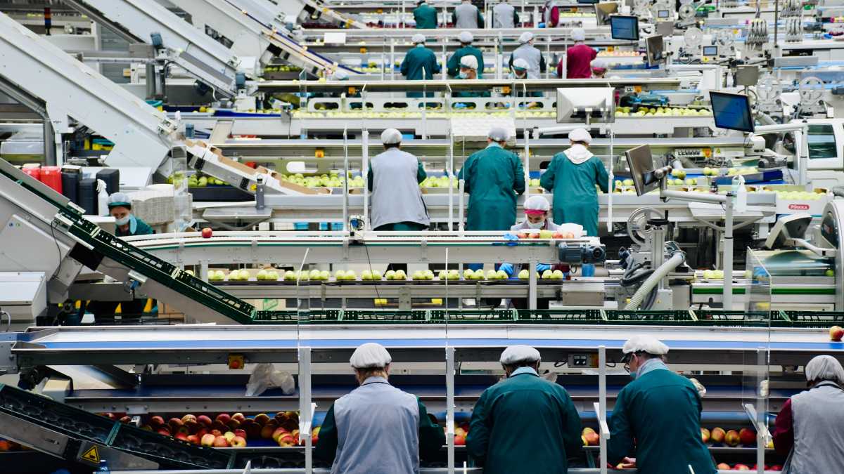 Immagine di Disoccupazione stabile, record di occupati: sfiorano i 23,6 milioni