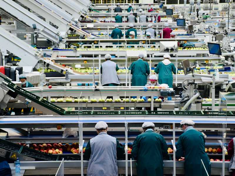 Disoccupazione stabile, record di occupati: sfiorano i 23,6 milioni