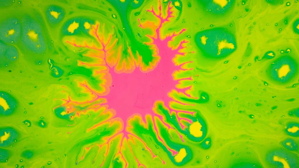 Immagine di Un nuovo colpo alla favola dei virus che si rabboniscono