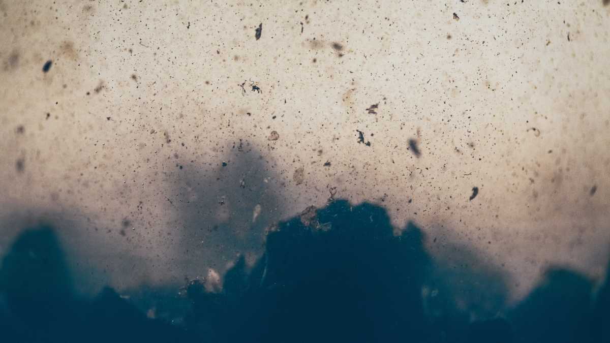 Immagine di Nuovi antibiotici dal microbioma epidermico