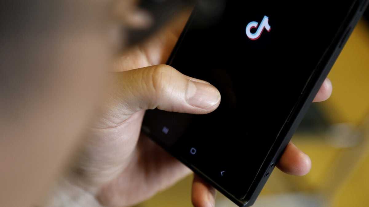 Immagine di Uno non vale uno neppure su TikTok