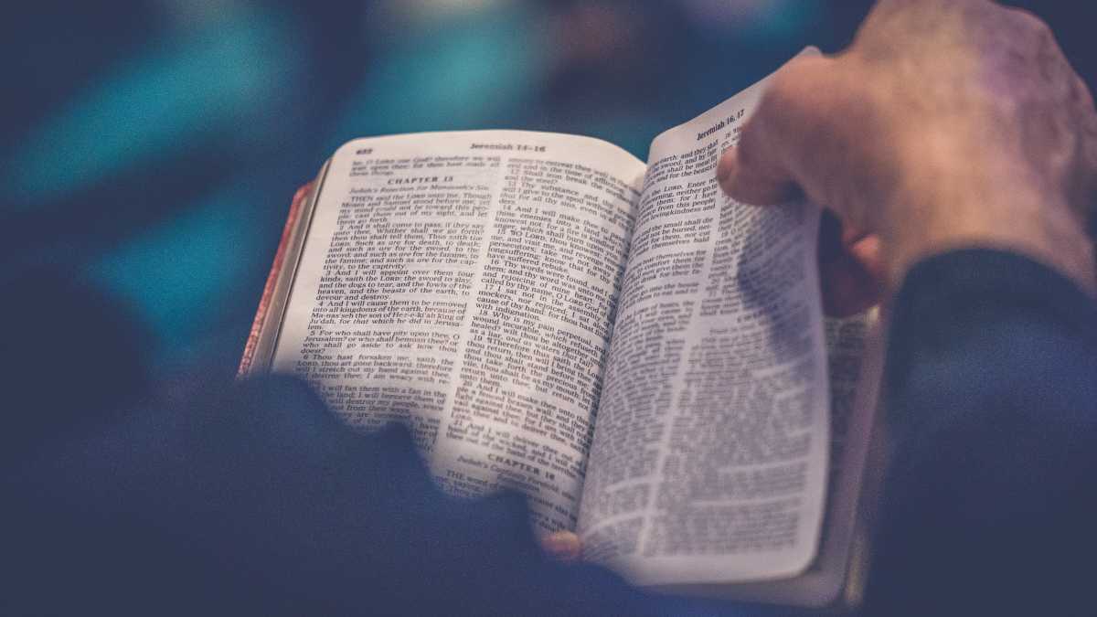 Immagine di La Bibbia racconta di uomini negativi perché parla di cose reali