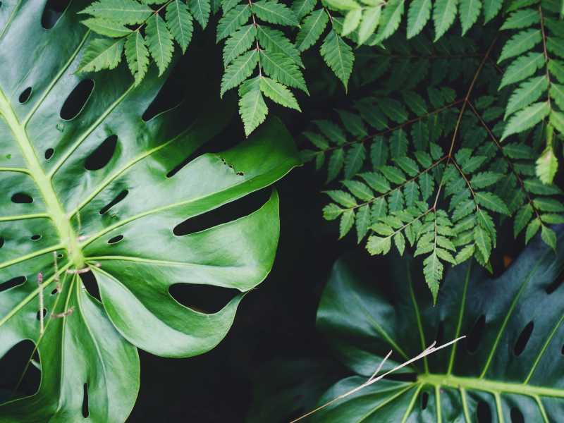  Unsplash