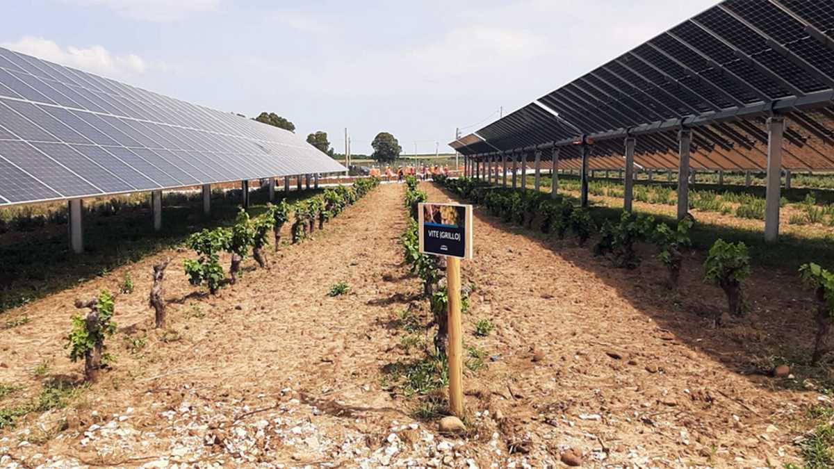 Immagine di L’ambientalismo pragmatico alla prova dell’agrivoltaico
