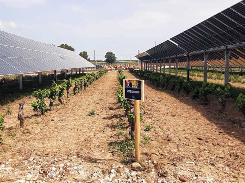 L’ambientalismo pragmatico alla prova dell’agrivoltaico