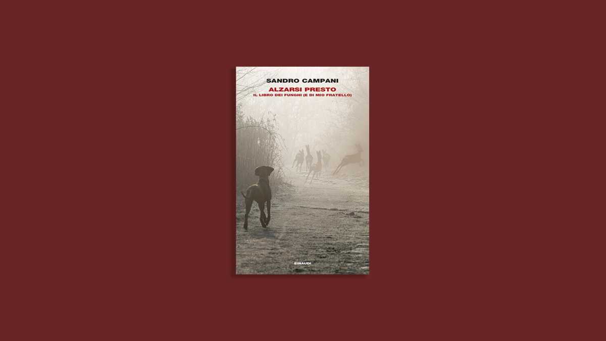 Immagine di Alzarsi presto. Il libro dei funghi (e di mio fratello)