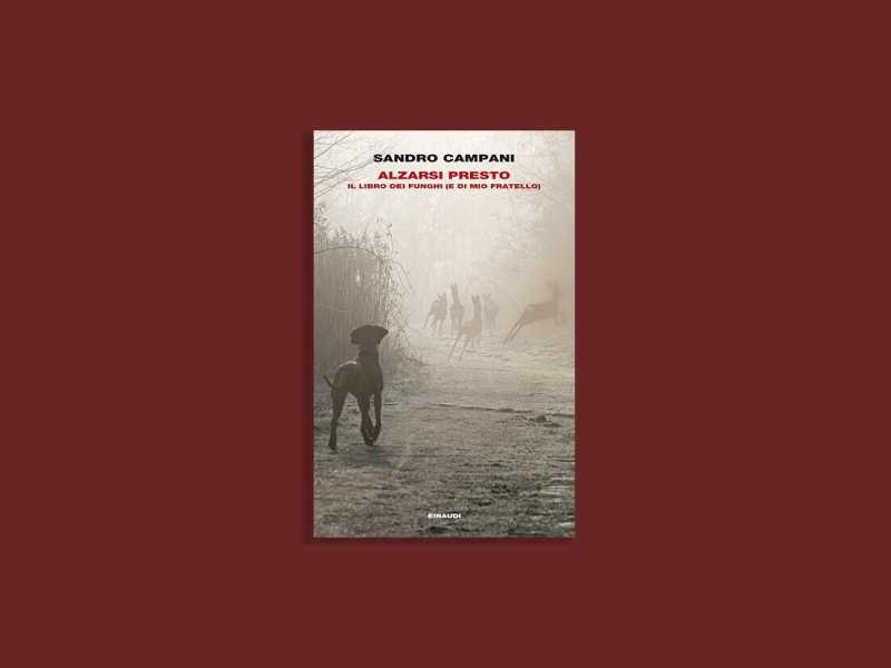 Alzarsi presto. Il libro dei funghi (e di mio fratello)