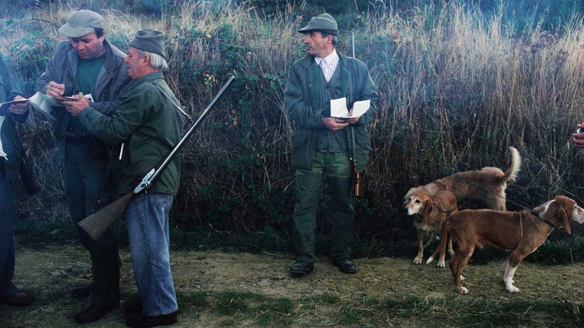 Immagine di Non siamo proprio il paese di Buffalo Bill