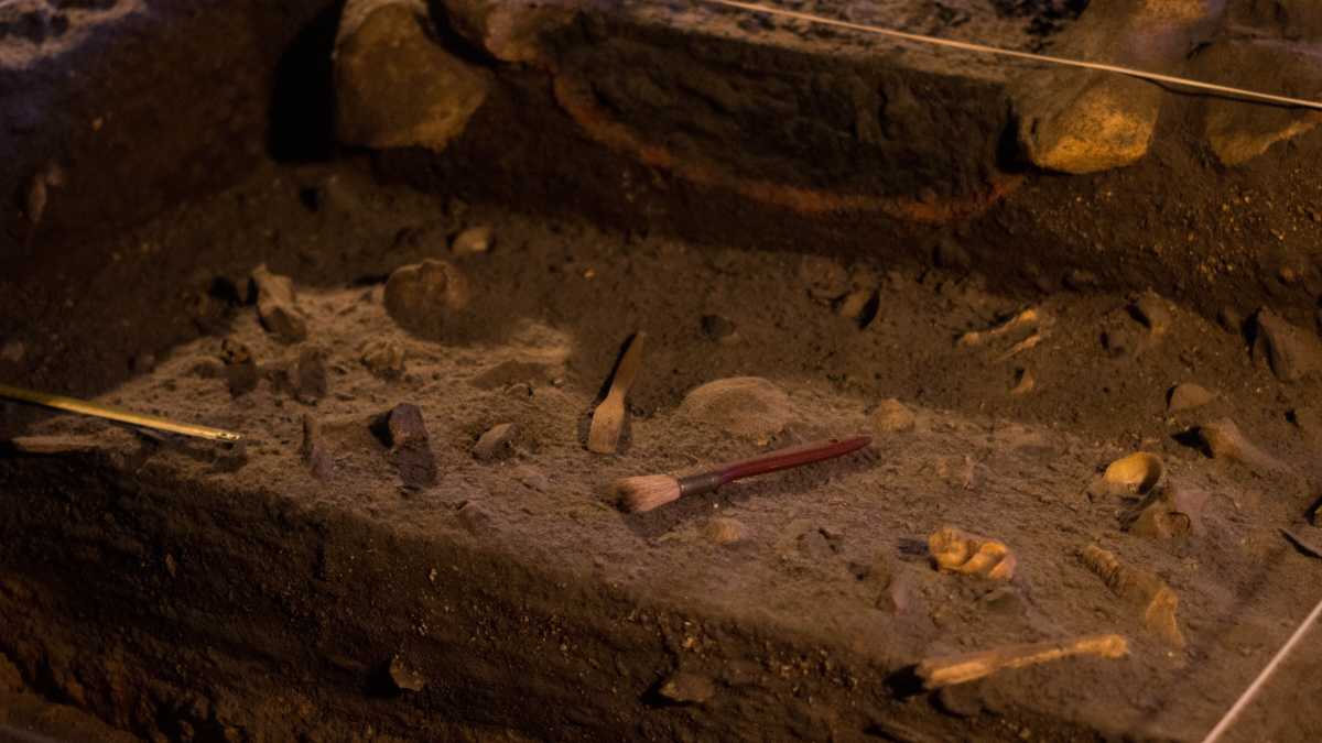 Immagine di Vendita di reperti archeologici in obitorio