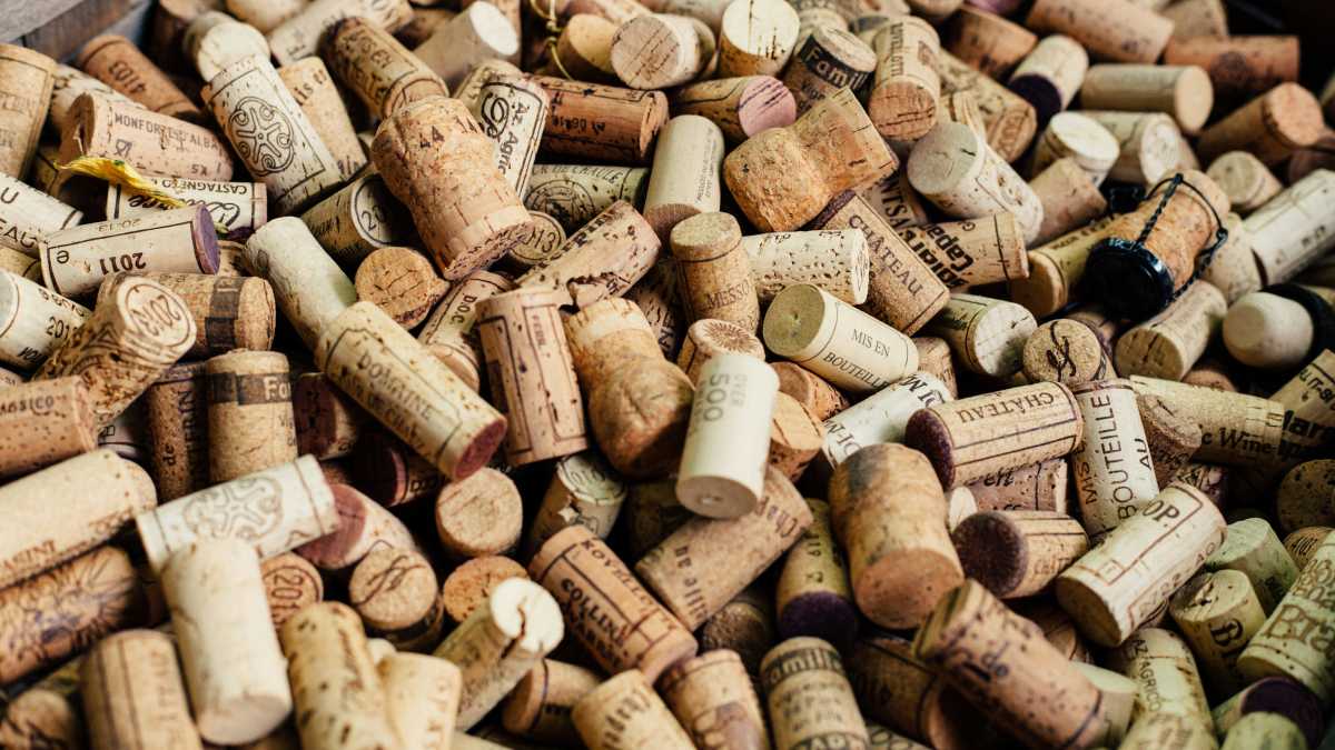 Immagine di Segreti professionali all'obitorio e tappi di sughero