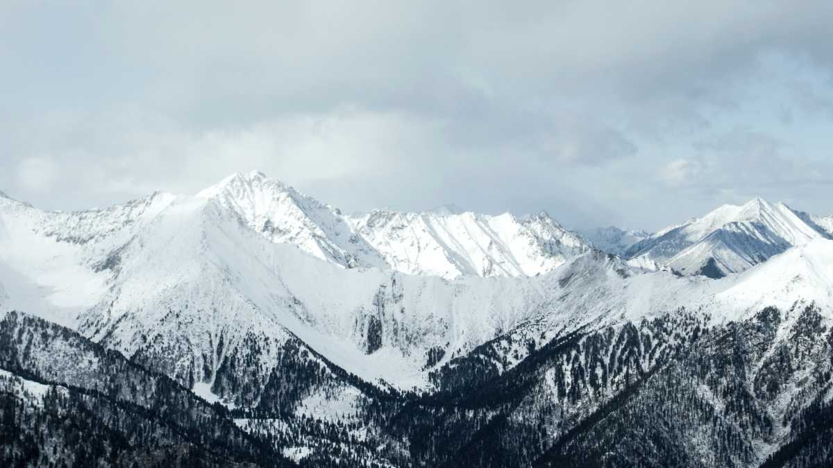 Immagine di Ignorare da quali ricche montagne innevate arrivino le solite gelide analisi