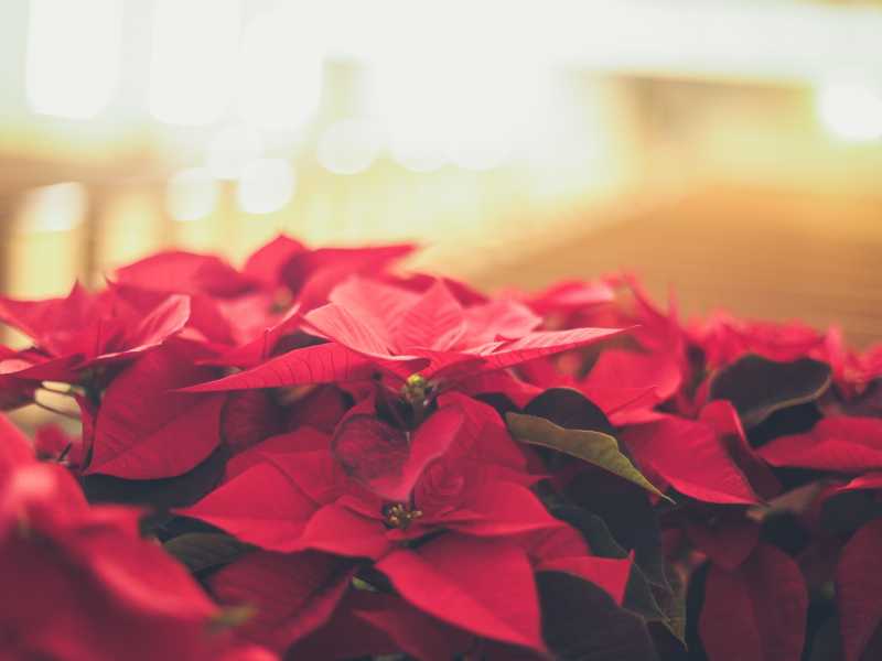 (Unsplash)