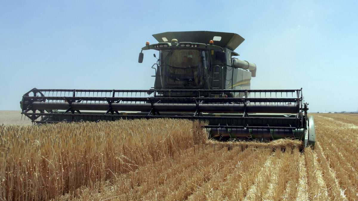 Immagine di In cinque mesi Kyiv ha ripristinato le rotte del grano senza Mosca
