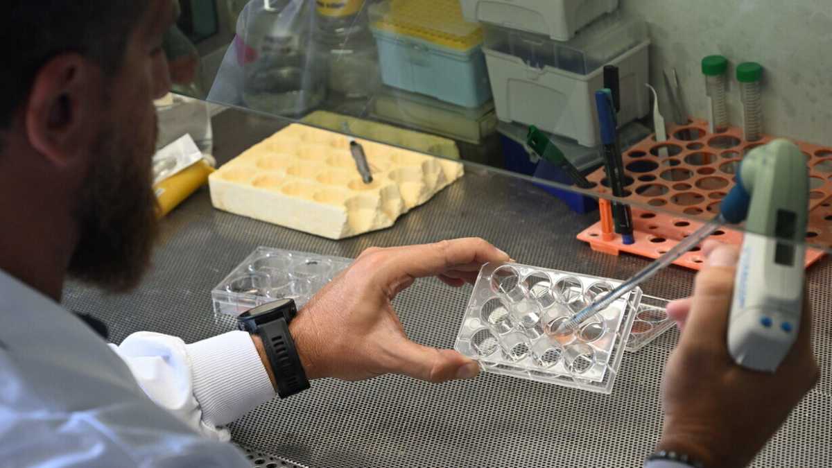 Immagine di Le pseudoscienze all'università