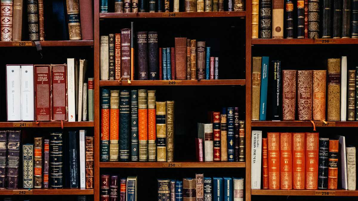Immagine di Biblioteche e pinanoteche in posti particolari