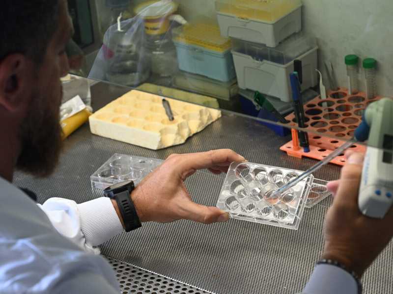 &nbsp;Un ricercatore dell'Universit&agrave; Tor Vergata di Roma