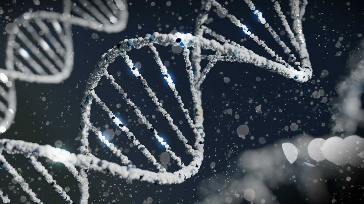 Immagine di Come gli antichi Dna influenzano quello che siamo