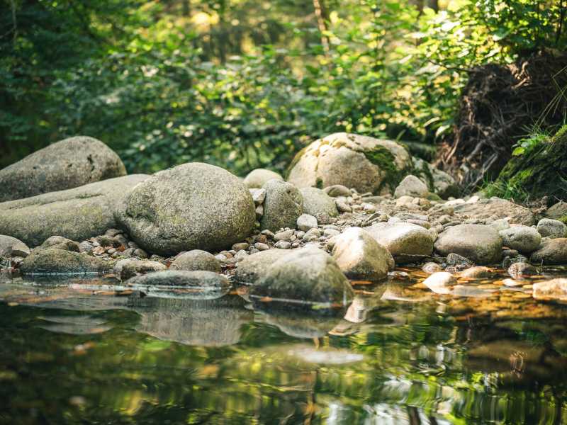(Unsplash)