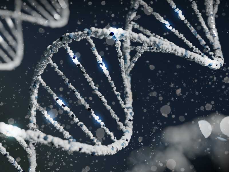 Come gli antichi Dna influenzano quello che siamo