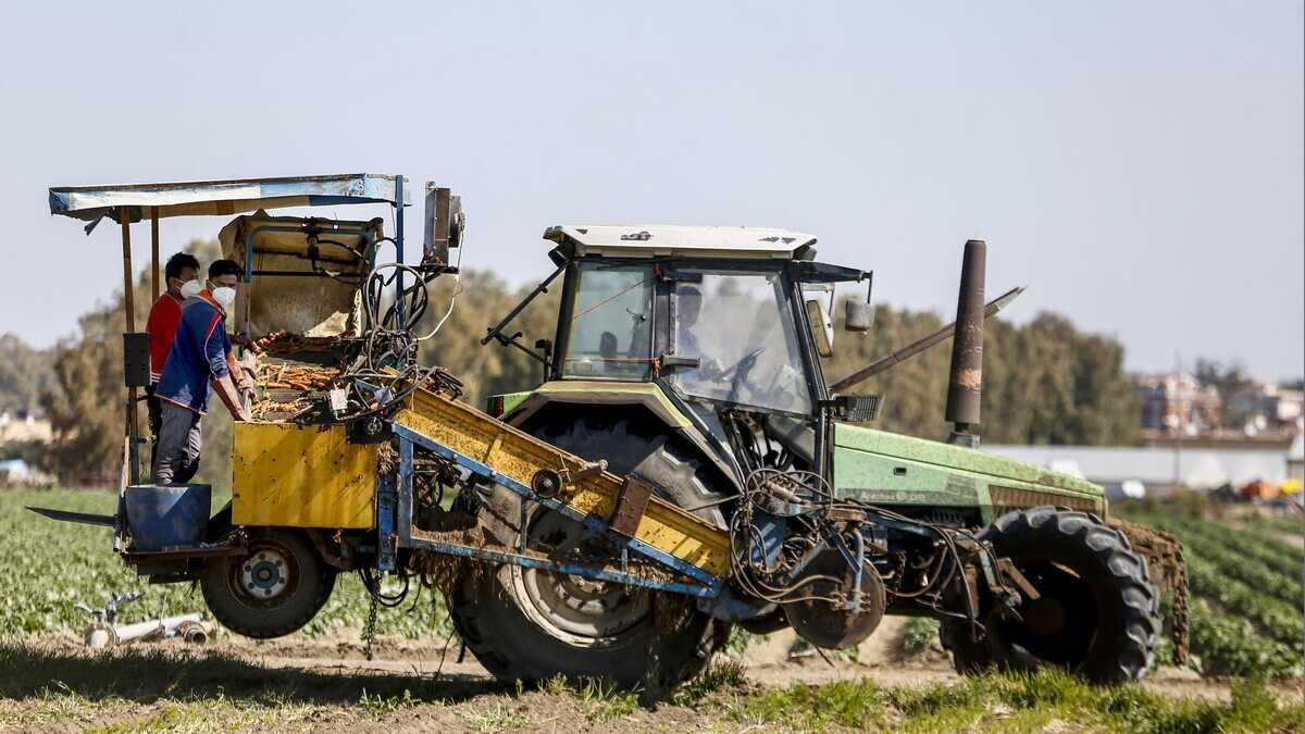 Immagine di Ecco cosa c’entrano i trattori con l’alfabetizzazione. Spunti per il futuro