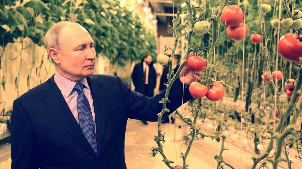 Immagine di I piani di Putin per il 2025