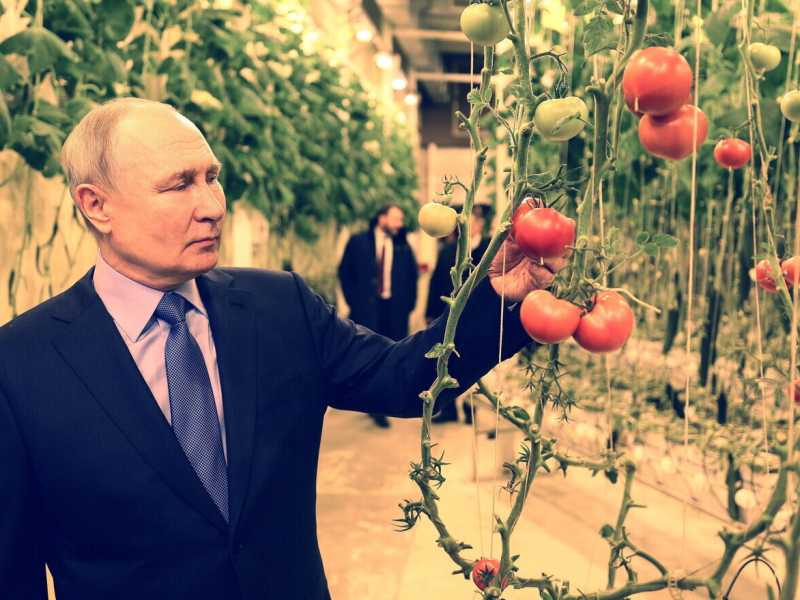 I piani di Putin per il 2025