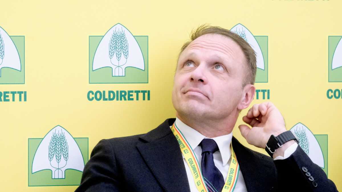 Immagine di Sulla "carne sintetica", Lollobrigida fa in Europa quello che non fa in Italia