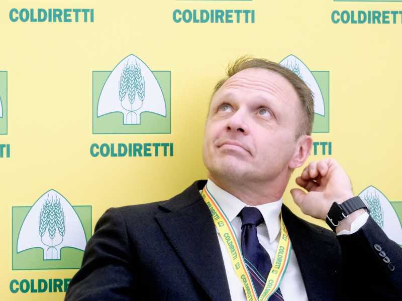 Sulla "carne sintetica", Lollobrigida fa in Europa quello che non fa in Italia