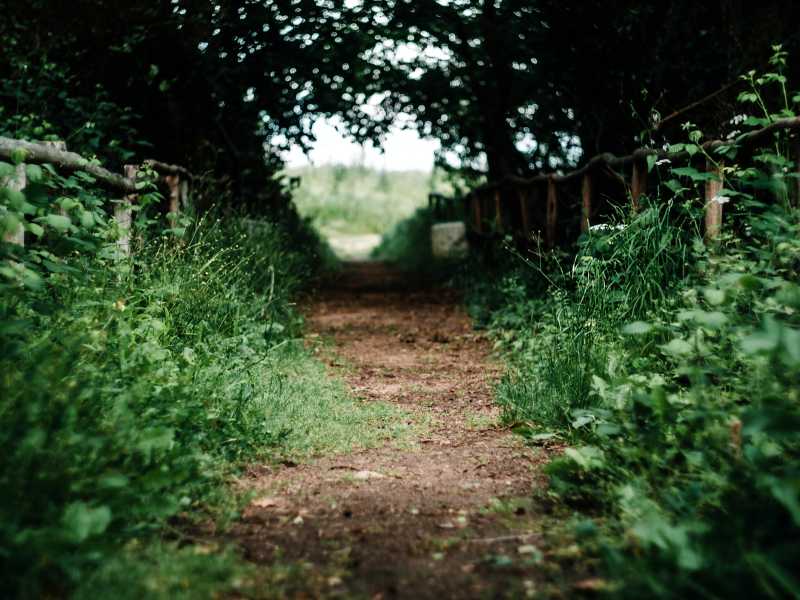 (Unsplash)
