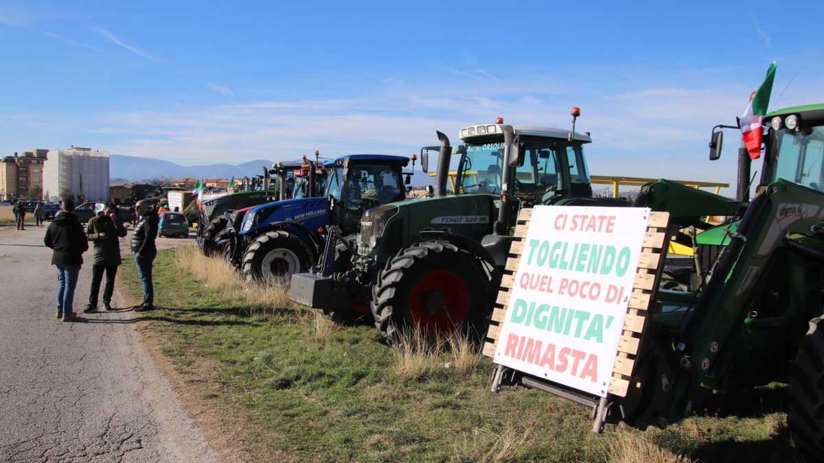 Immagine di Ragioni utili per ascoltare senza assecondare le rivolte degli agricoltori