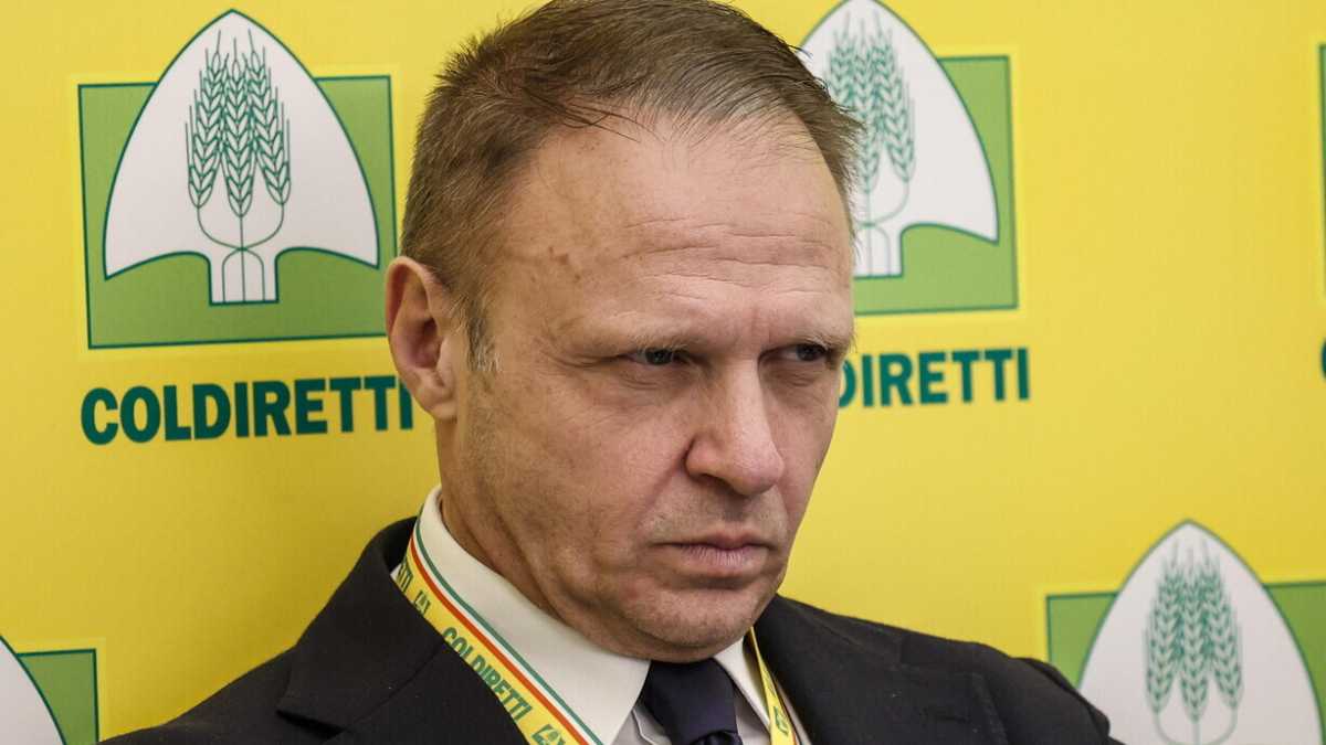 Immagine di L’industria agroalimentare contro la legge Lollobrigida sulla “carne sintetica”