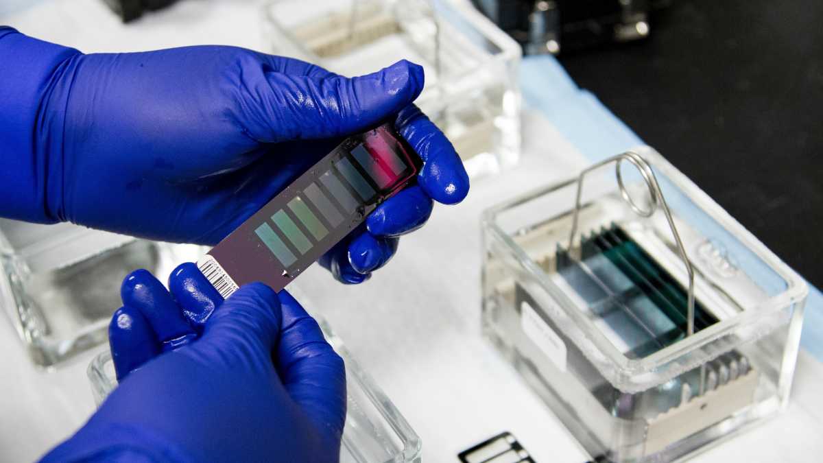 Immagine di Dopo la carne coltivata, l'Europa apre alle tecniche genomiche per la modifica del Dna delle piante
