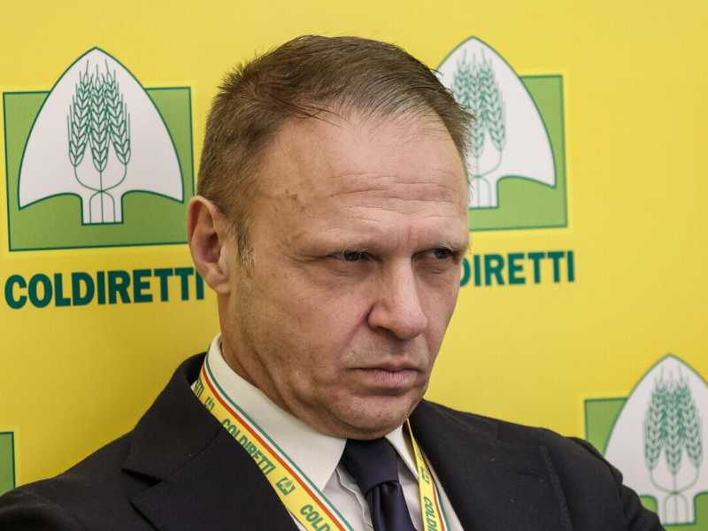 L’industria agroalimentare contro la legge Lollobrigida sulla “carne sintetica”