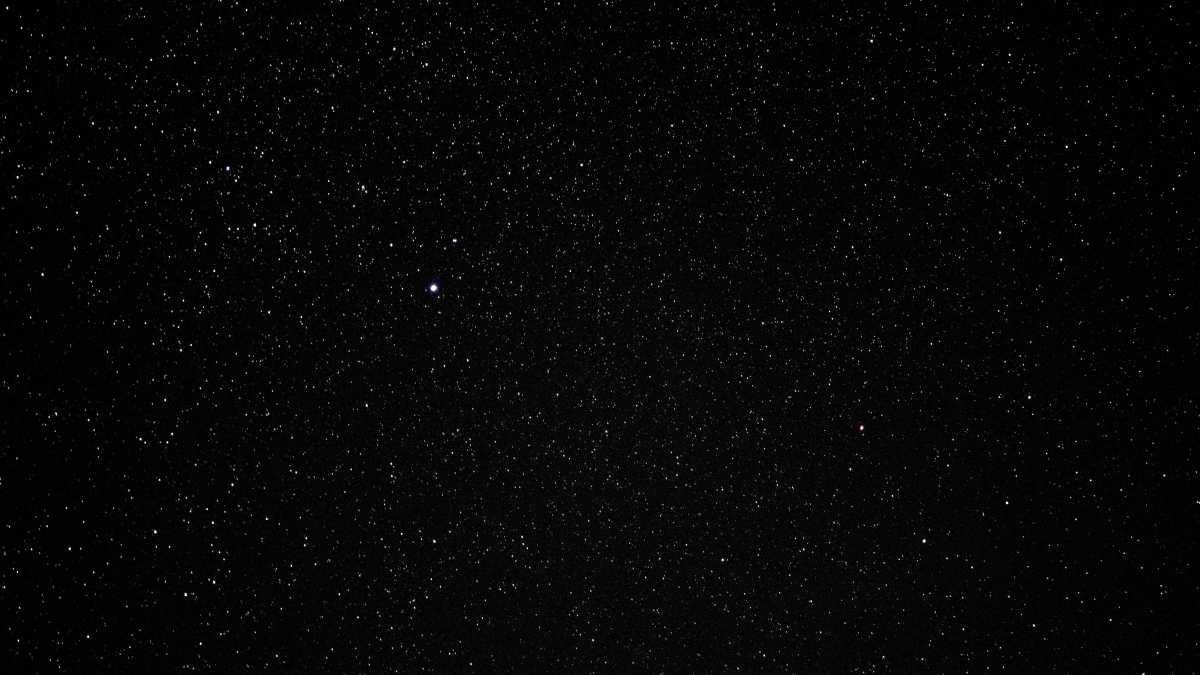 Immagine di Un tirassegno con al centro la mia faccia. La voce delle stelle