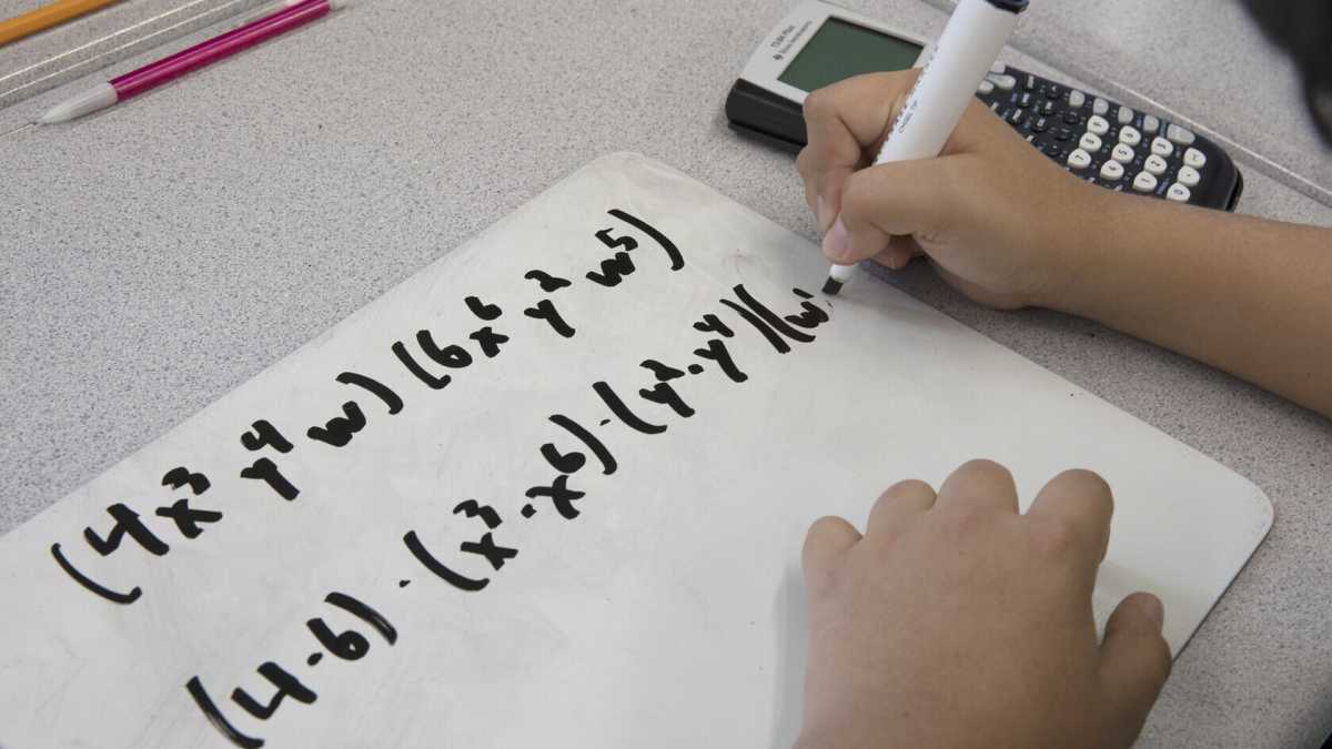 Immagine di Elogio della matematica. Buone ragioni per studiarla, e non solo perché è utile