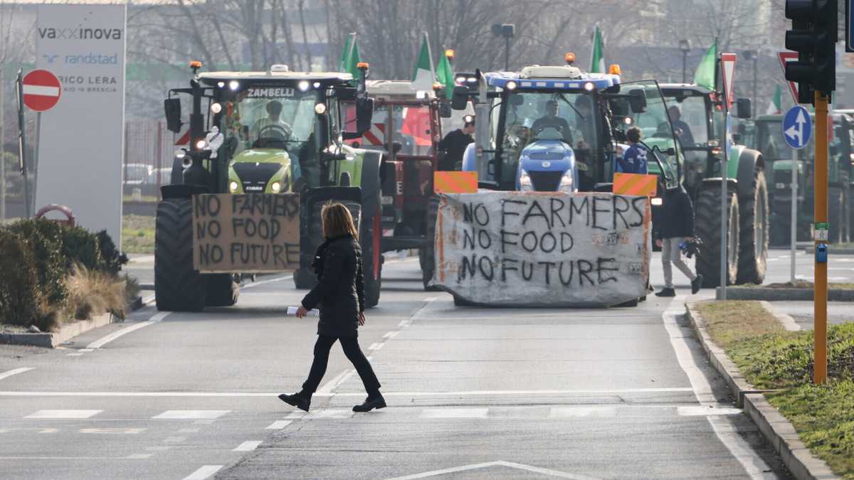 Immagine di Ecco la "velina" di Lollobrigida. Le proteste dei trattori? Causate dalle merci ucraine