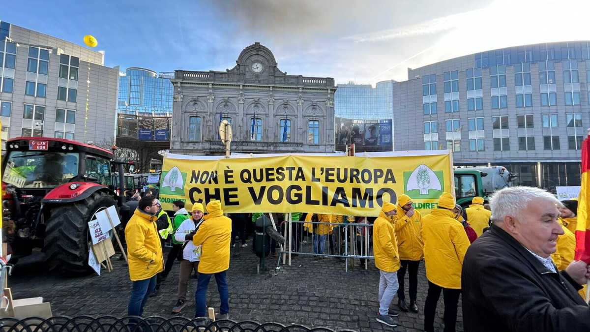 Immagine di Andate in pac. Coldiretti contro le politiche green europee che sosteneva. Prandini si candida con FdI?