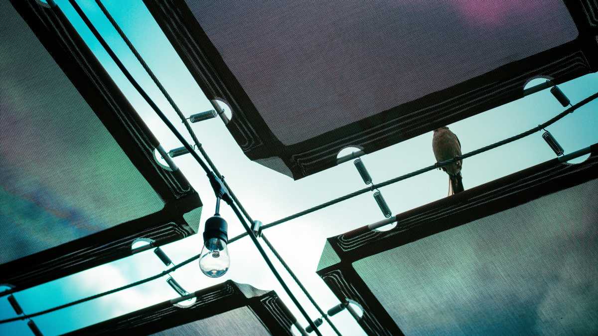 Immagine di Dialogo tra un esperto di IA e un economista su un futuro super produttivo, ma poco umanistico