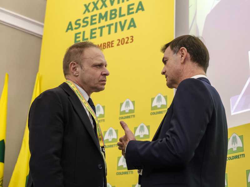 Foto Ansa