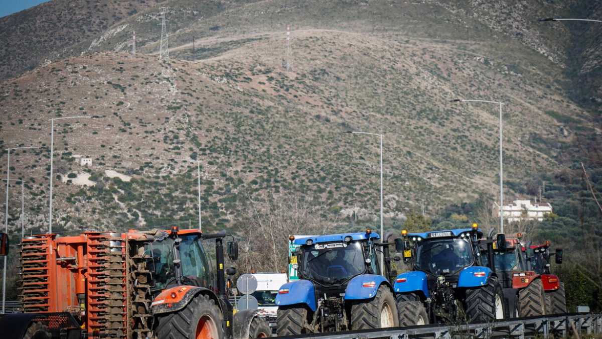 Immagine di Redditi in aumento (anche in Italia). Non solo difficoltà per gli agricoltori europei