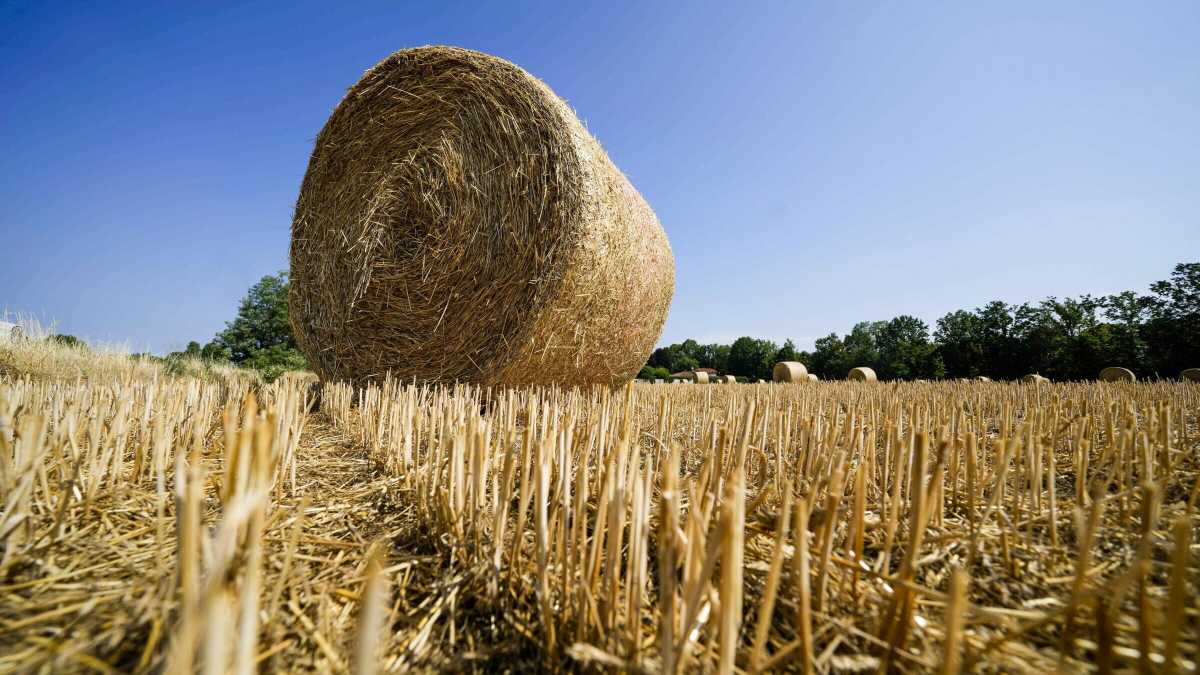 Immagine di Sorpresa: l’aria padana non è mai stata così respirabile