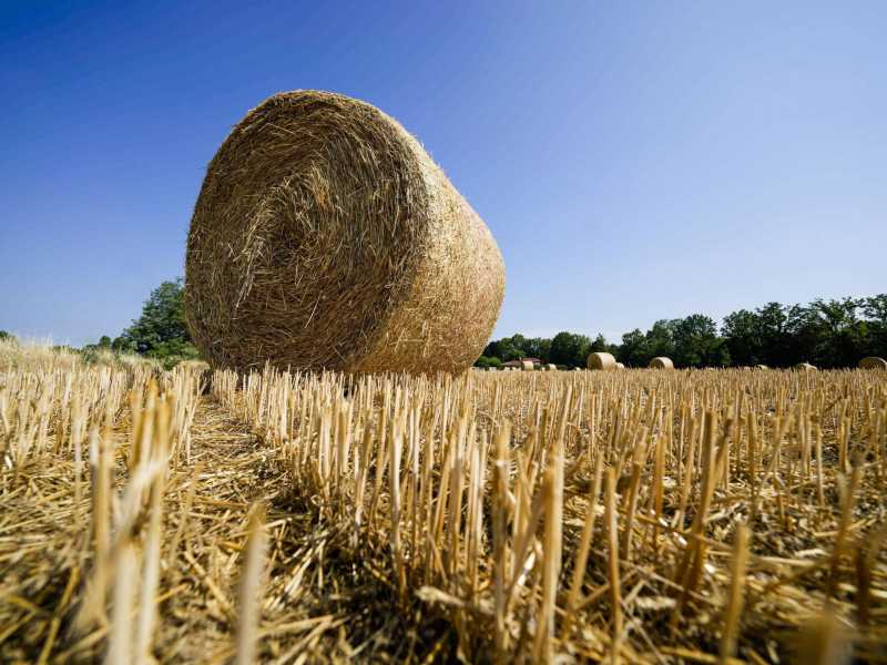 Sorpresa: l’aria padana non è mai stata così respirabile
